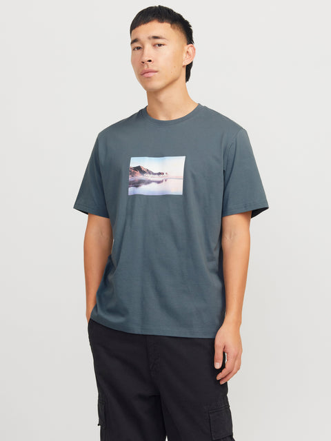 JACK & JONES JORVESTERBRO picture tee crew neck in moonbeam