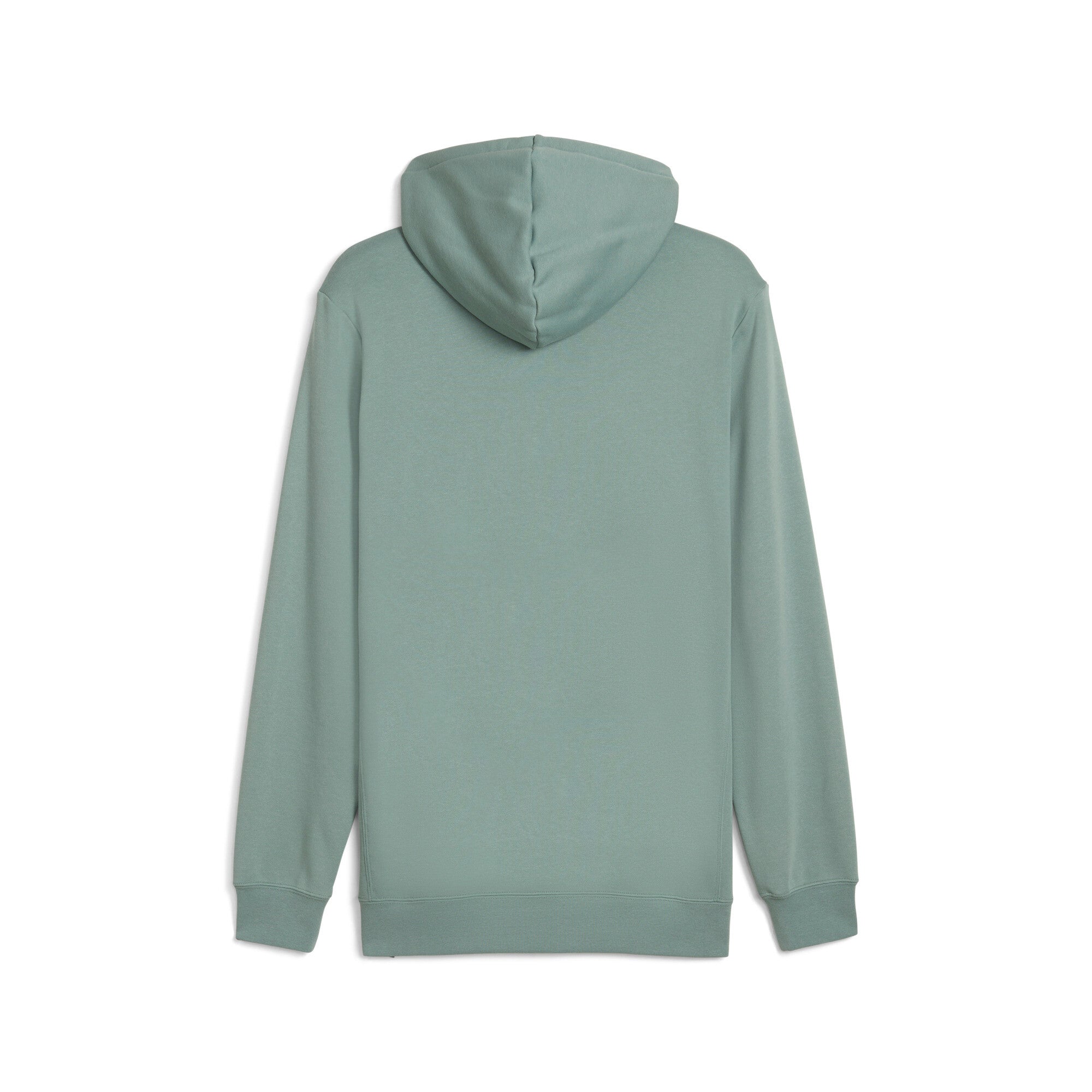 Puma class hoodie in green moon - Back View