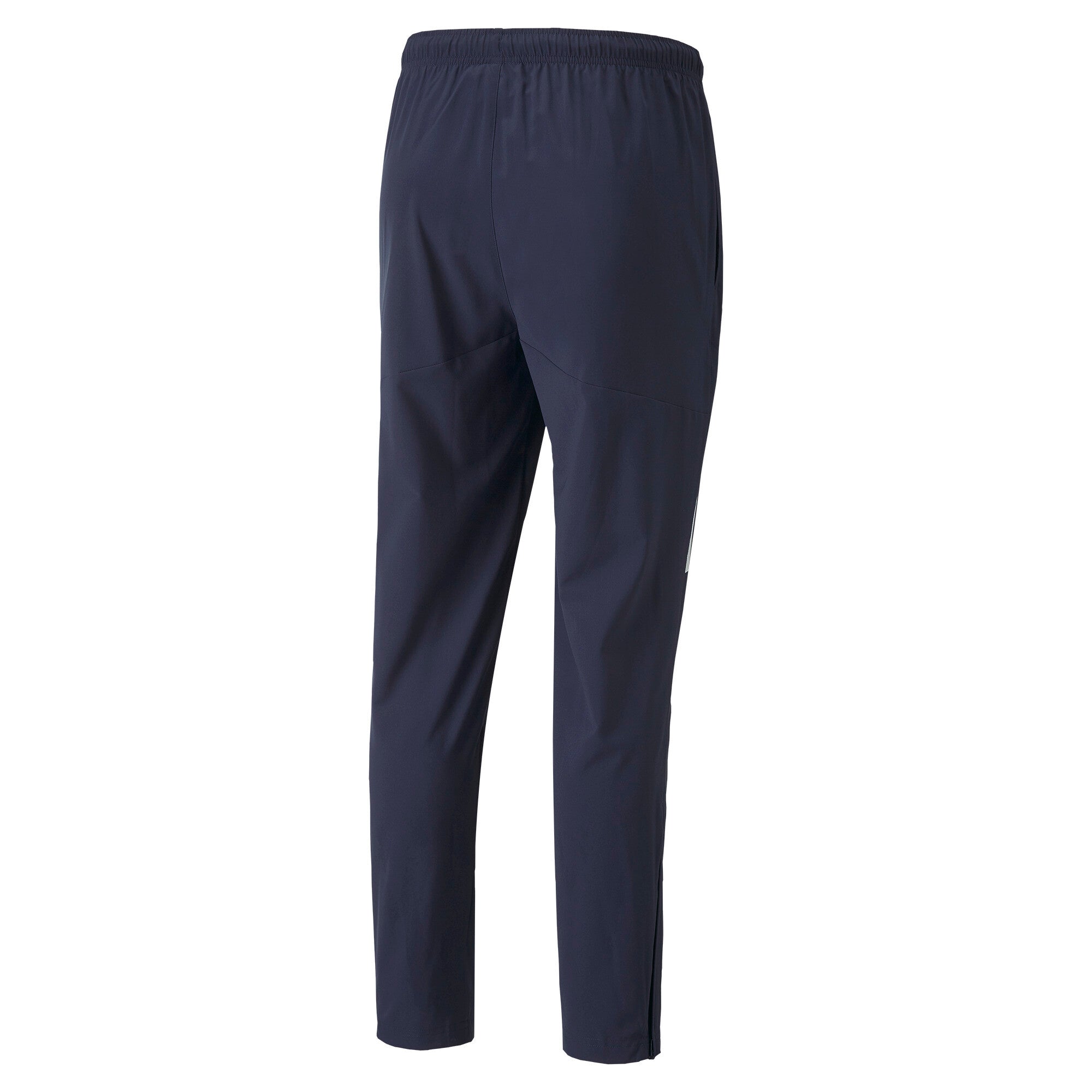Puma football teamliga sideline pants in black - Back View