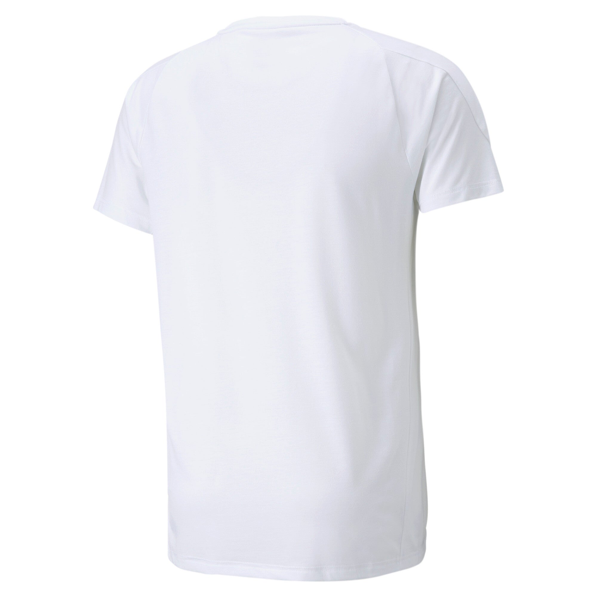 Puma evostripe tee men in white - Back View