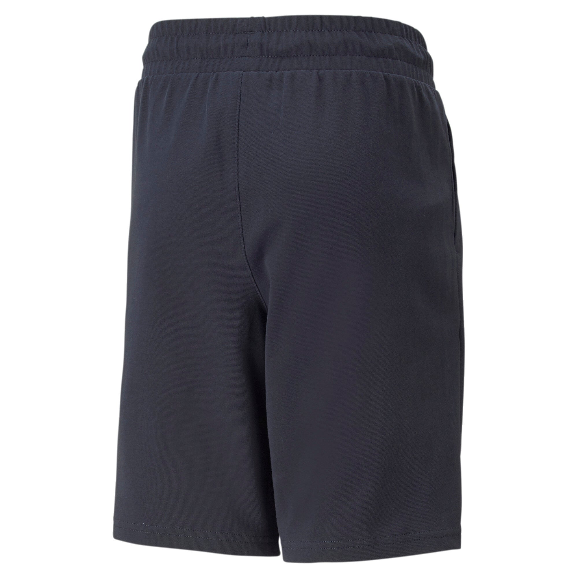 Puma alpha shorts in blue - Back View