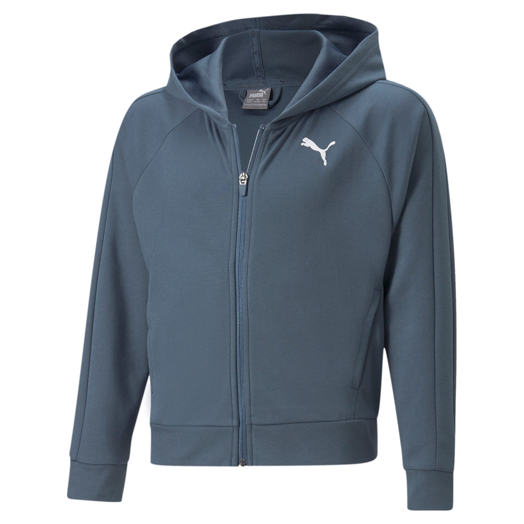 Puma modern sports full-zip hoodie youth in gray - Front View