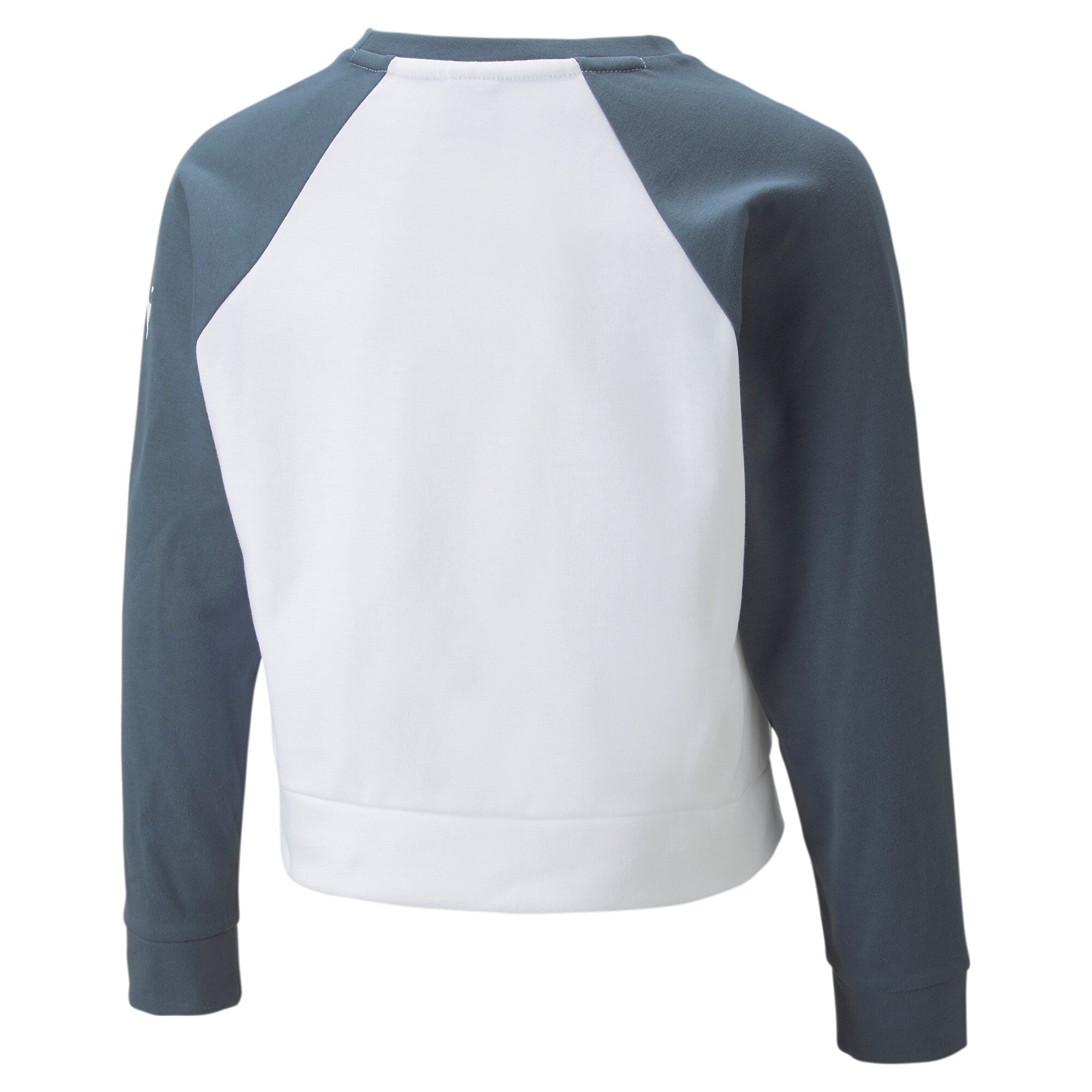 Puma modern sports crewneck sweatshirt youth in white - Back View