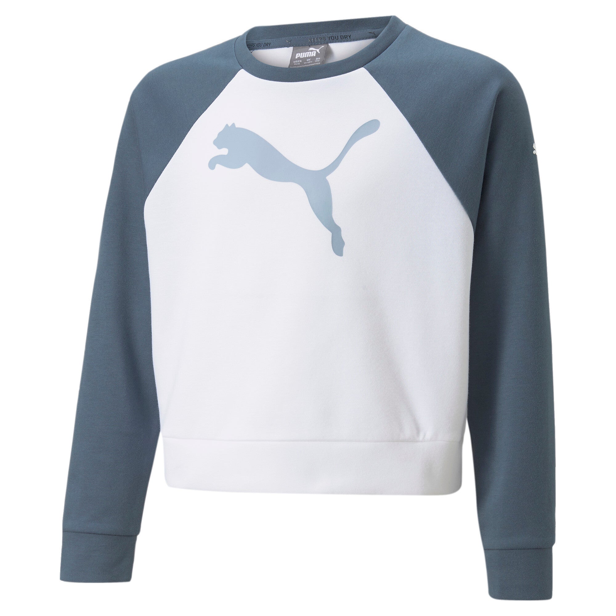 Puma modern sports crewneck sweatshirt youth in white - Front View