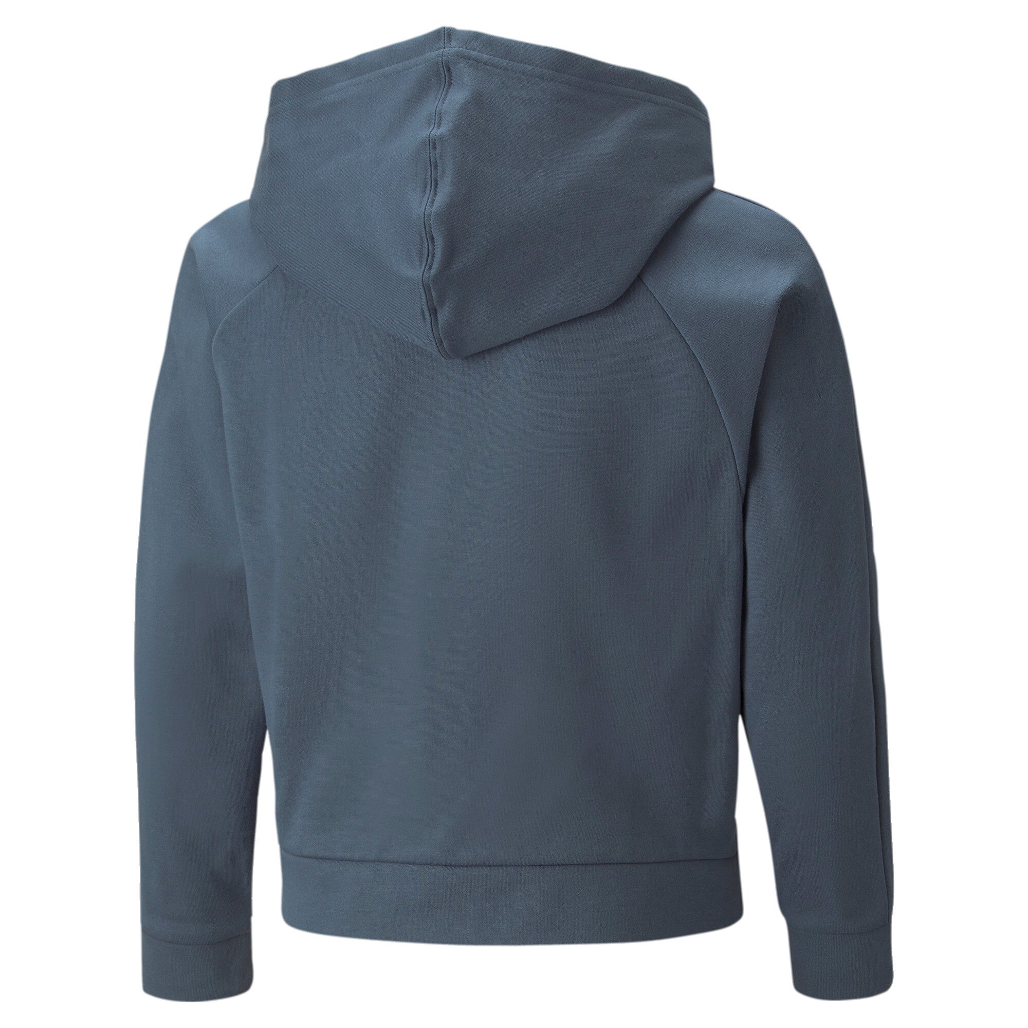 Puma modern sports full-zip hoodie youth in gray - Back View
