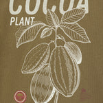 Mango product 17011235-36 - D8