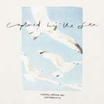 Mango product 17031273-02 - D0