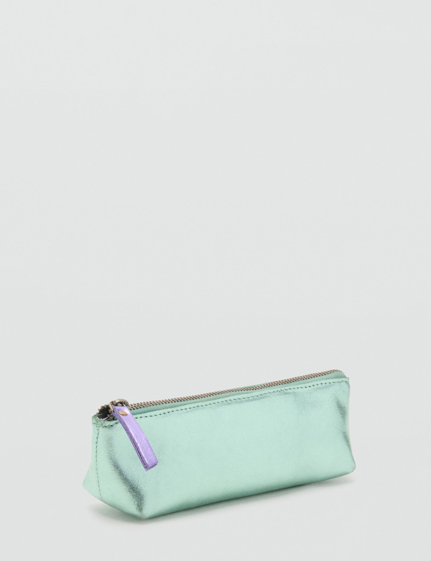 Mango pencil case foilp in Water