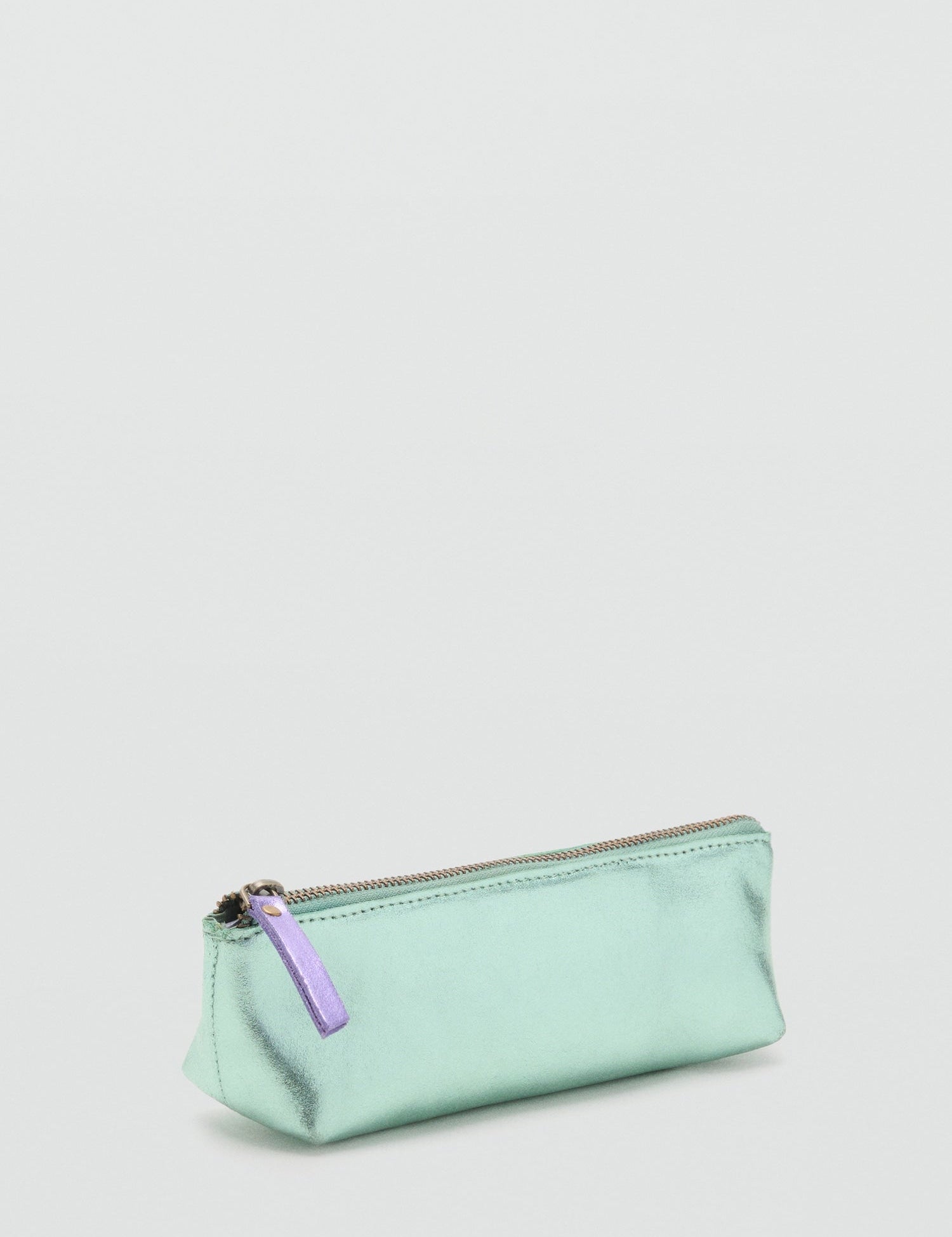 Mango pencil case foilp in Water