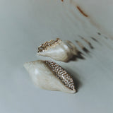 Mango product 17061133-08 - 99999999_01