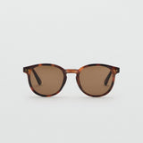 Mango sunglasses porter in Chocolate - B