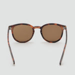 Mango sunglasses porter in Chocolate - D1