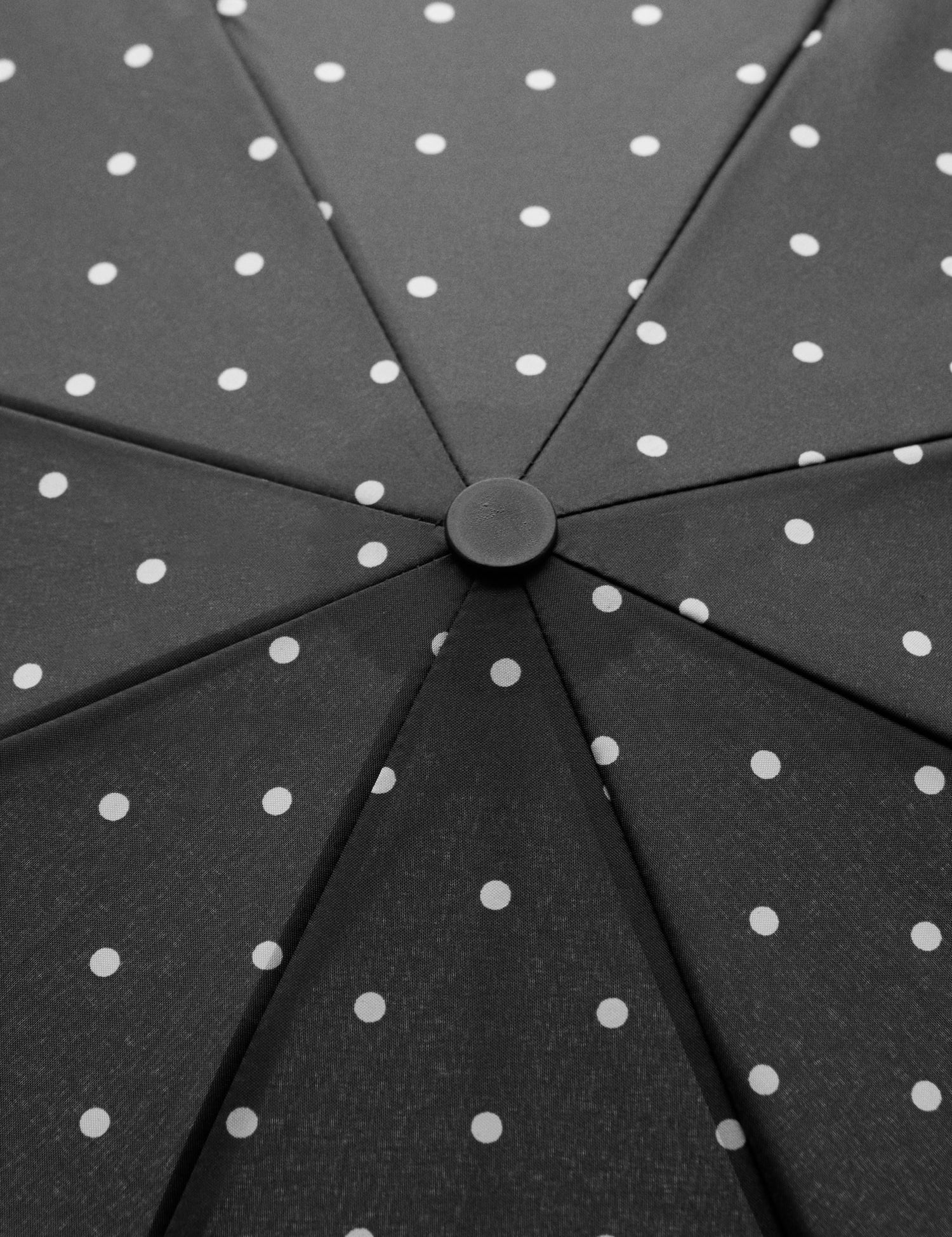 Mango product 17081121-99 - D1