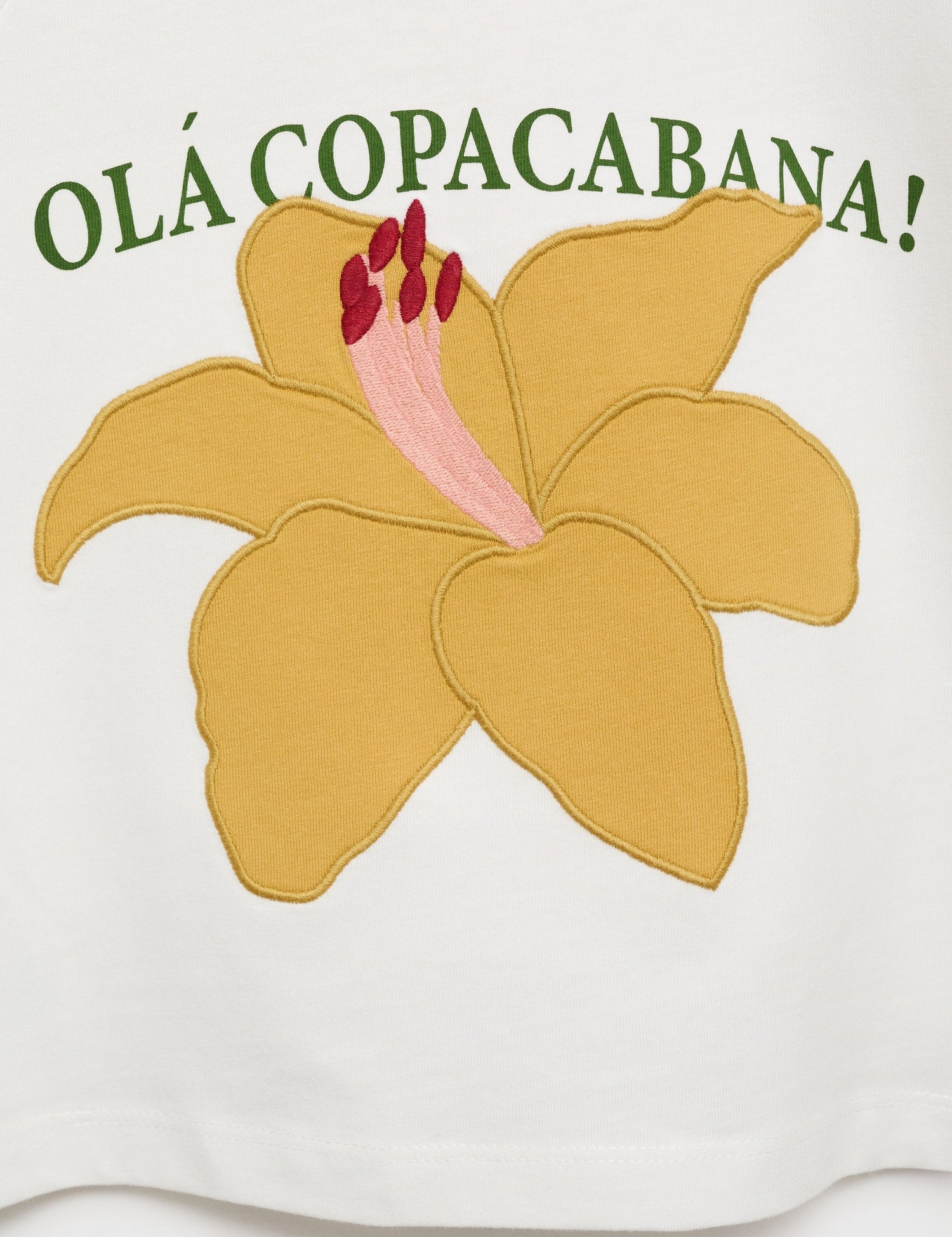 Mango product 17081225-02 - D8