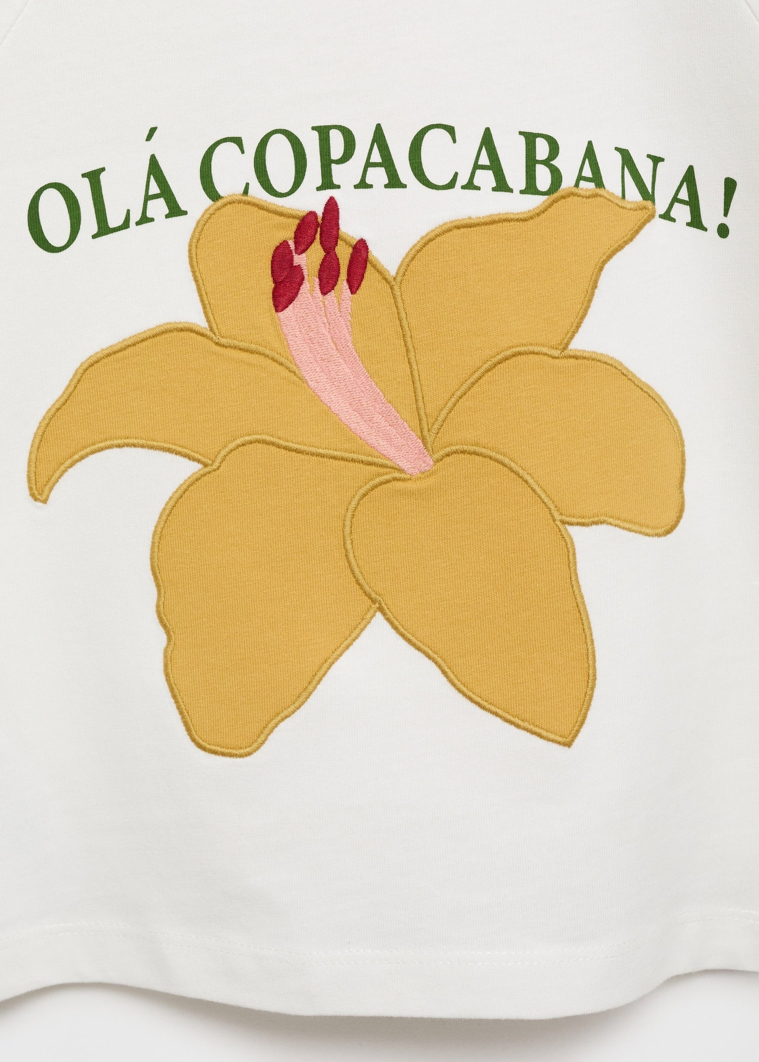 Mango product 17081225-02 - D8