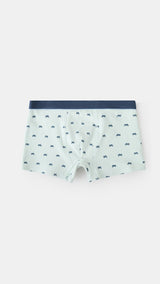 Mango boxers motor in water - Image 2