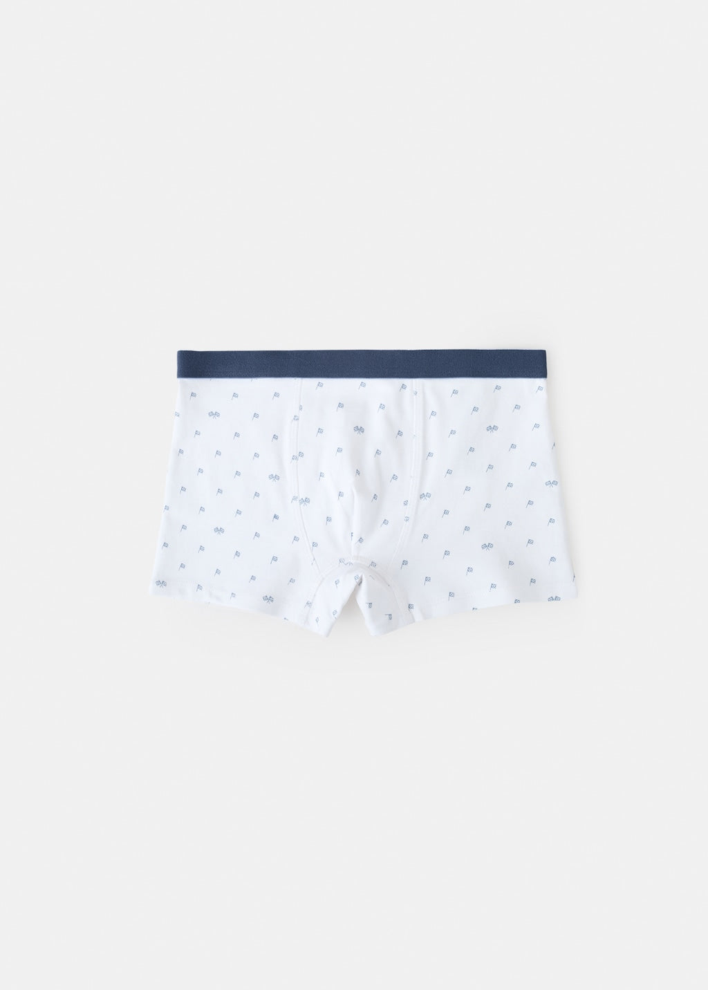 Mango boxers motor in water - Image 3