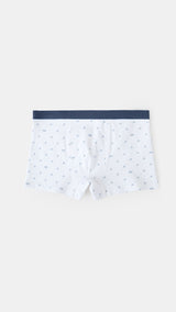 Mango boxers motor in water - Image 3