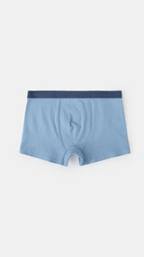 Mango boxers motor in water - Image 4