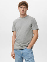 light vigore grey