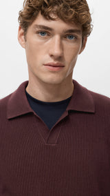 Mango poloshirt antiguas in eggplant-004