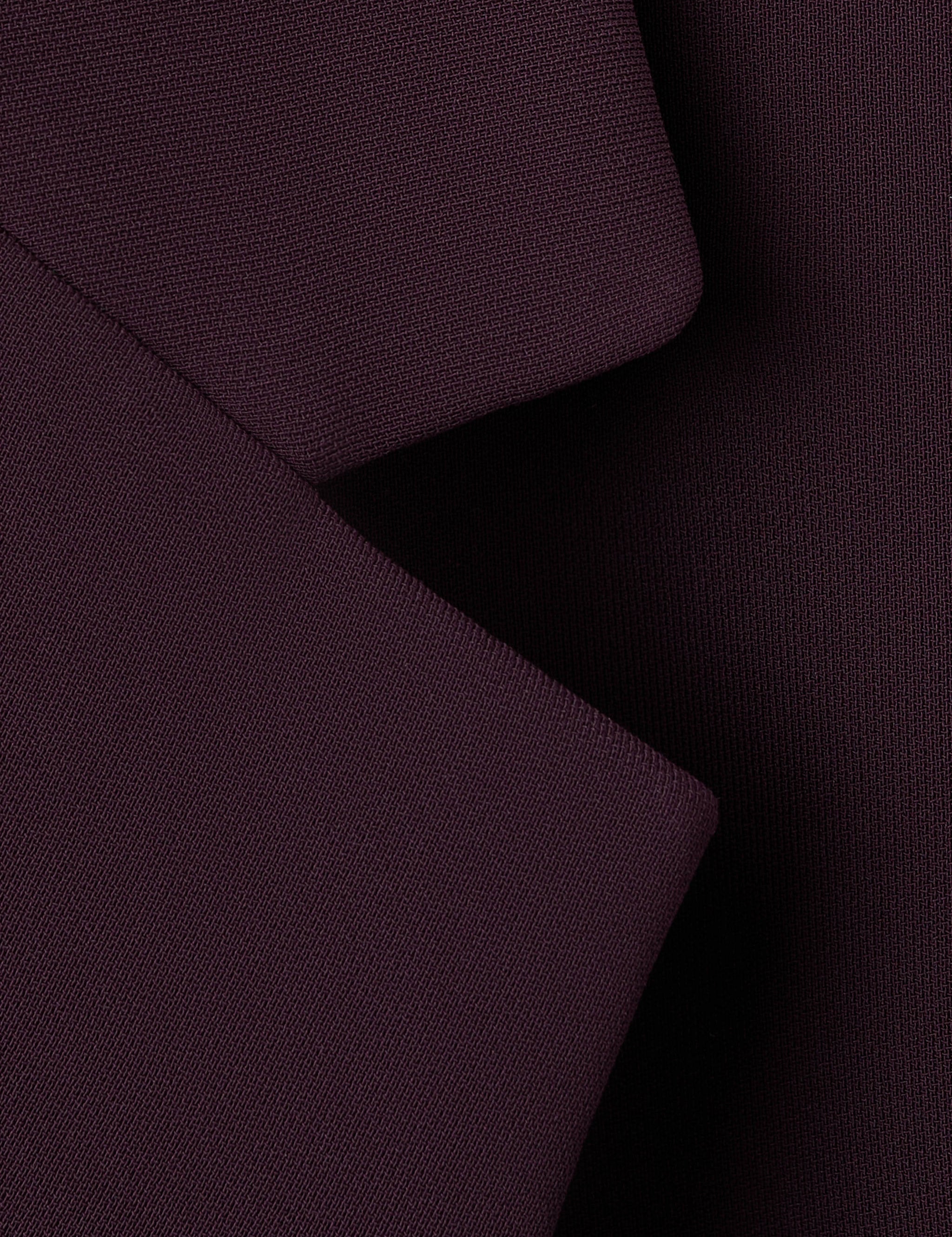Mango americana iguana in garnet
