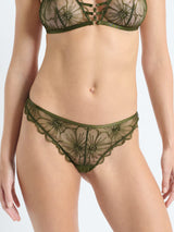 kaki olive