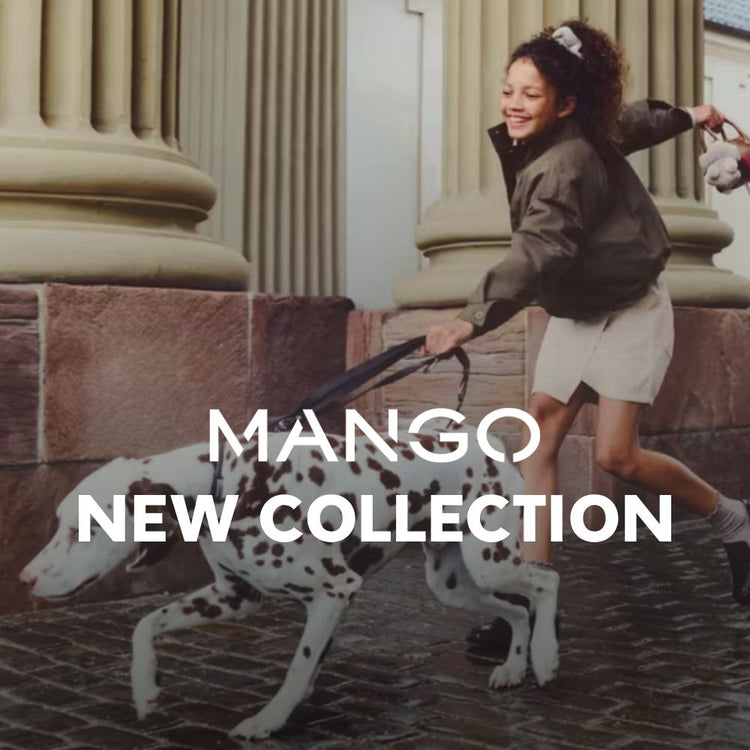 Mango New Collection