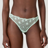 Etam daisy - string in celadon