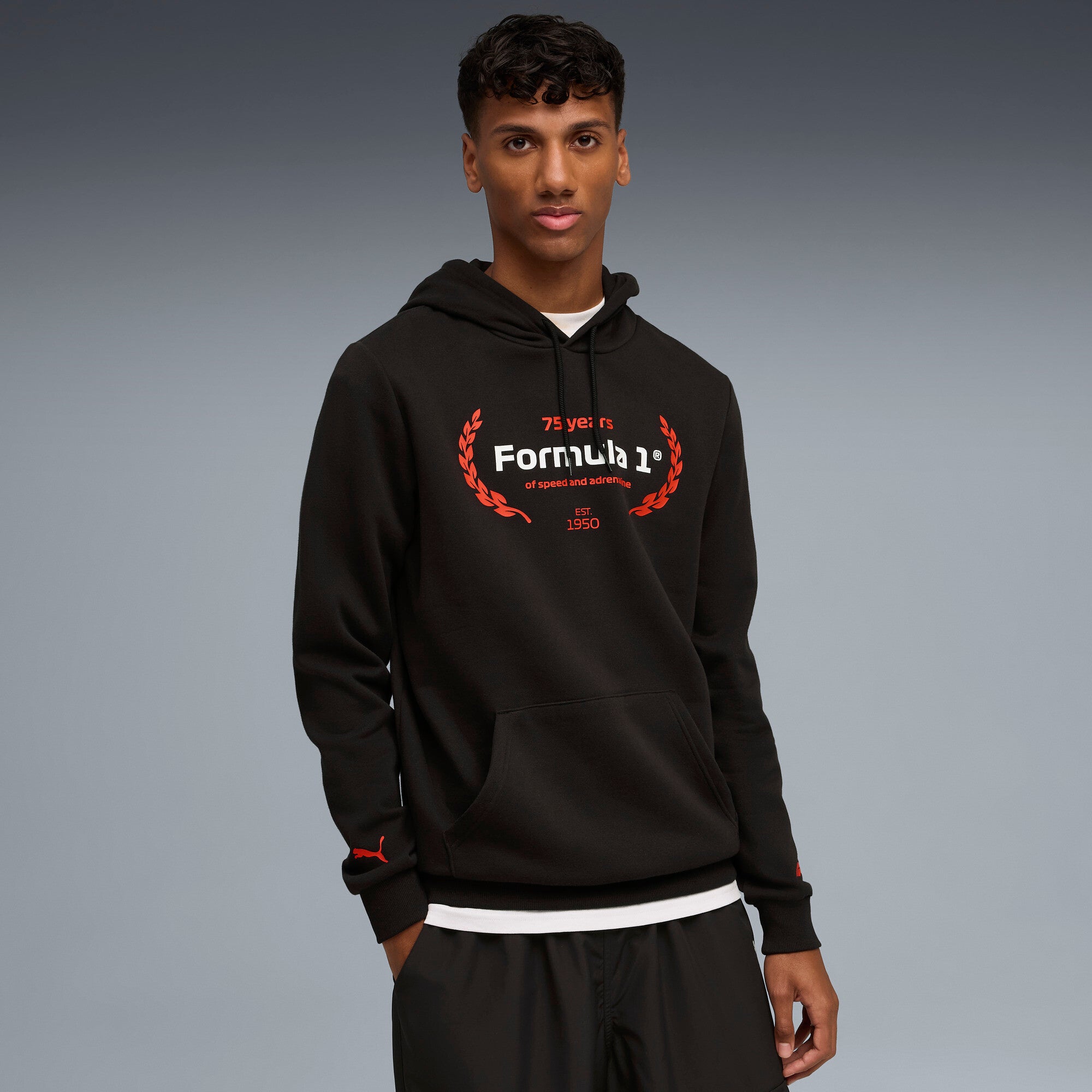 PUMA F1® ESSENTIALS logo graphic hoodie in black - Image 1