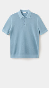 Mango polo pointele in water - Image 1