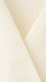 Mango mono annemary in raw - Image 3