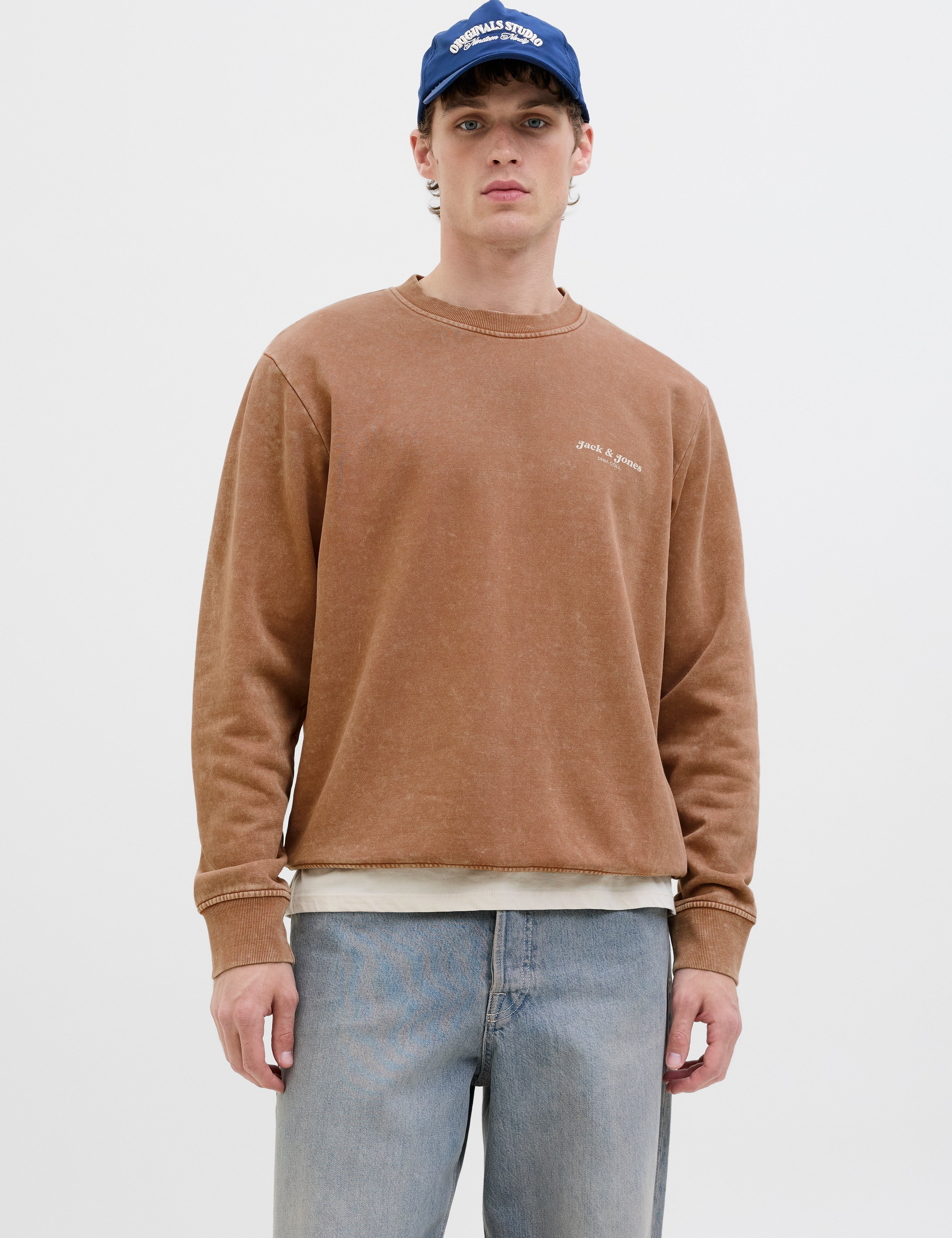JACK & JONES JJEDOVER print sweat crew neck - monks robe