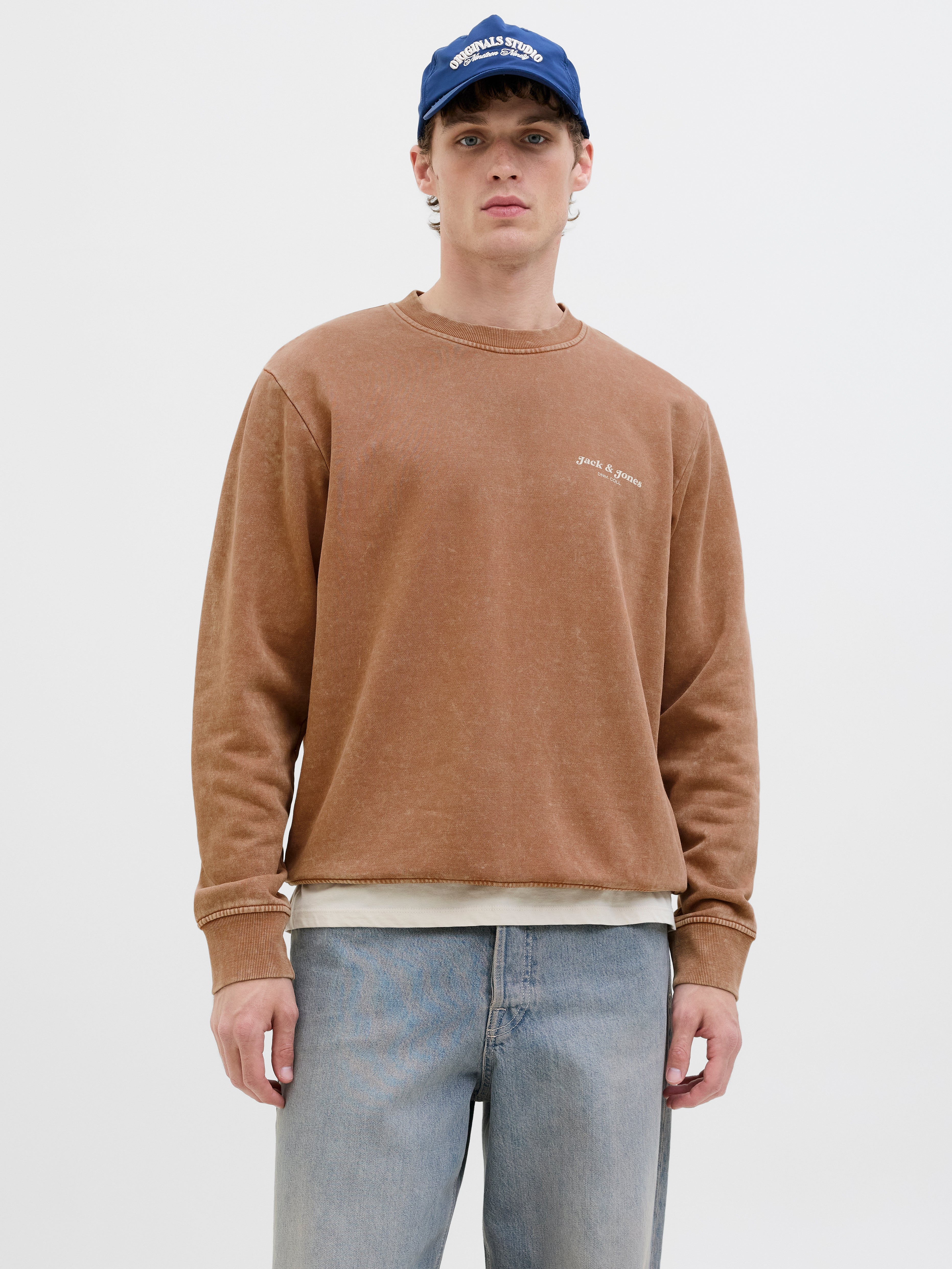 JACK & JONES JJEDOVER print sweat crew neck - monks robe