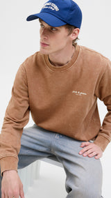 JACK & JONES JJEDOVER print sweat crew neck - monks robe