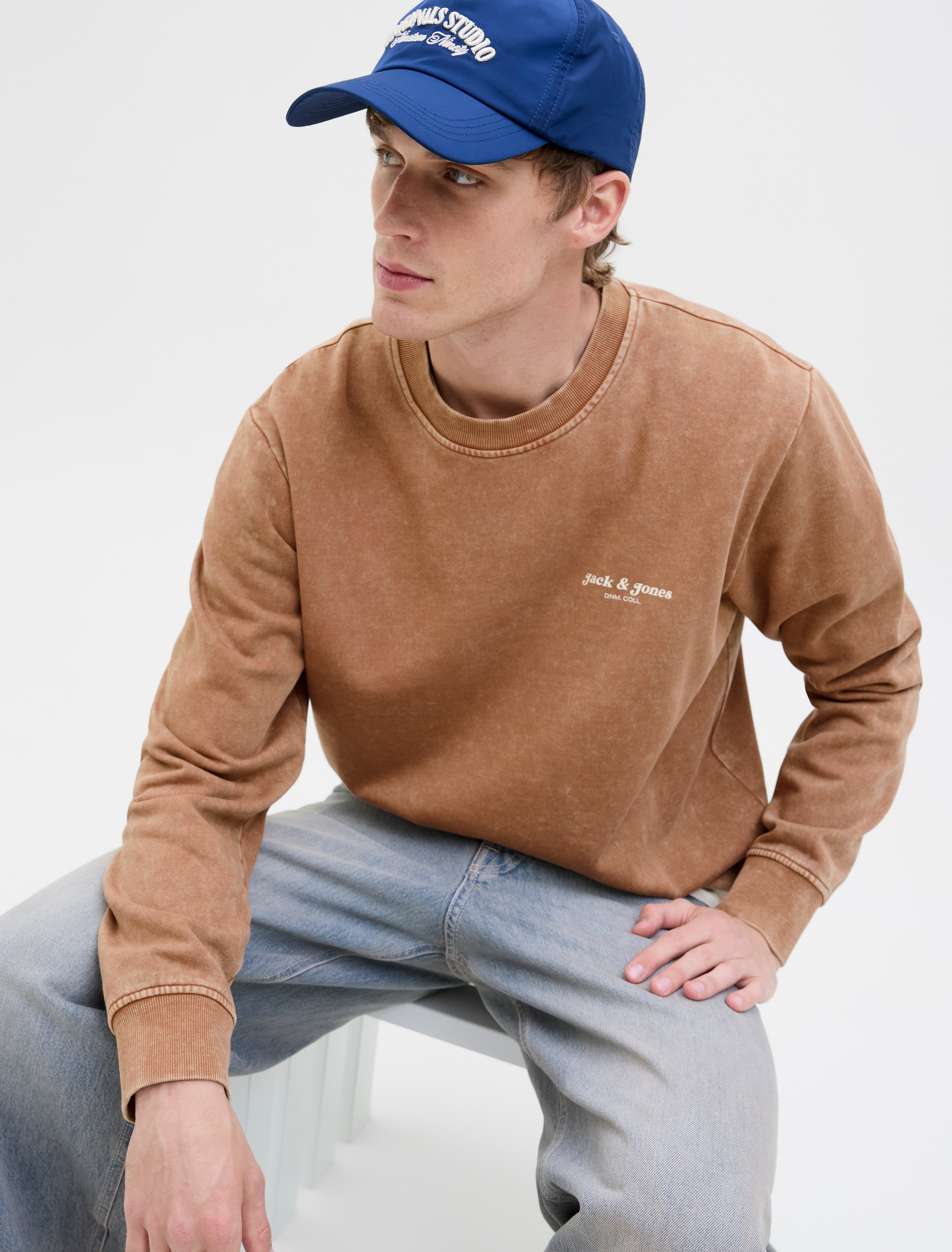 JACK & JONES JJEDOVER print sweat crew neck - monks robe