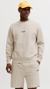 JACK & JONES JJESOHO sweat crew neck - moonbeam