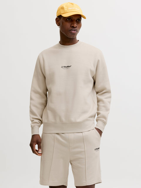 JACK & JONES JJESOHO sweat crew neck in moonbeam