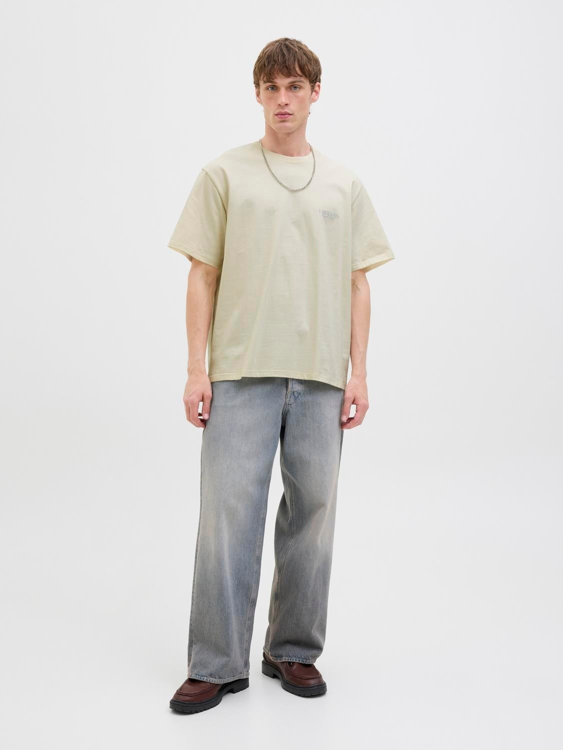 JACK & JONES JORHYDRA photo tee crew neck in antique white - Image 5
