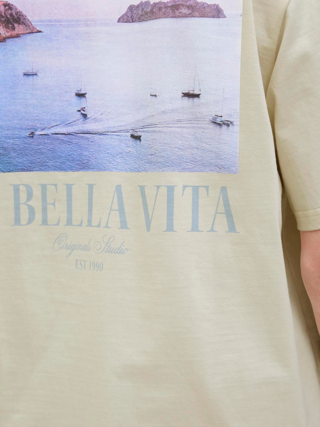 JACK & JONES JORHYDRA photo tee crew neck in antique white - Image 6