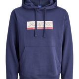 JACK & JONES JORINWOOD block branding sweat hood - ocean cavern