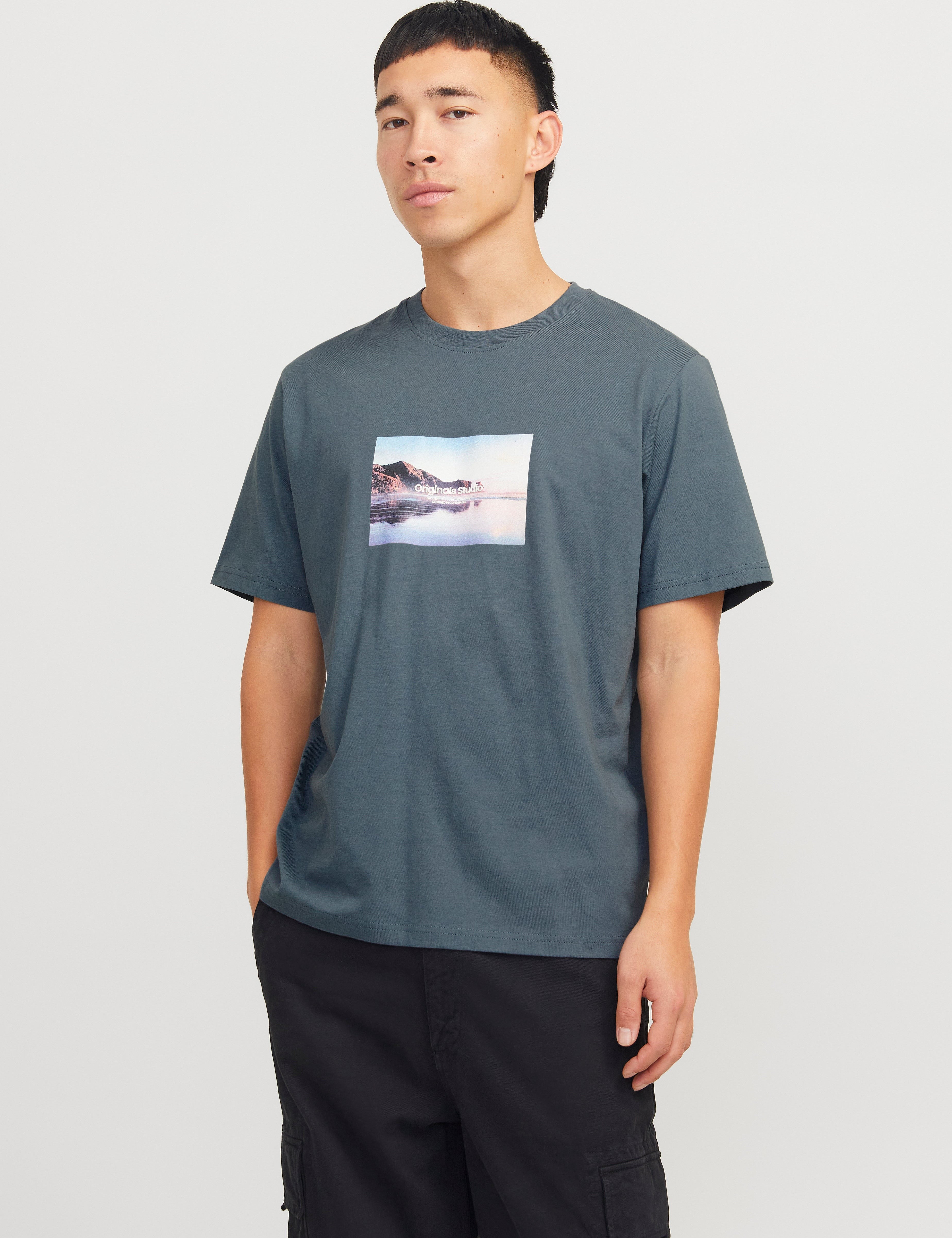 JACK & JONES JORVESTERBRO picture tee crew neck in moonbeam - Image 1