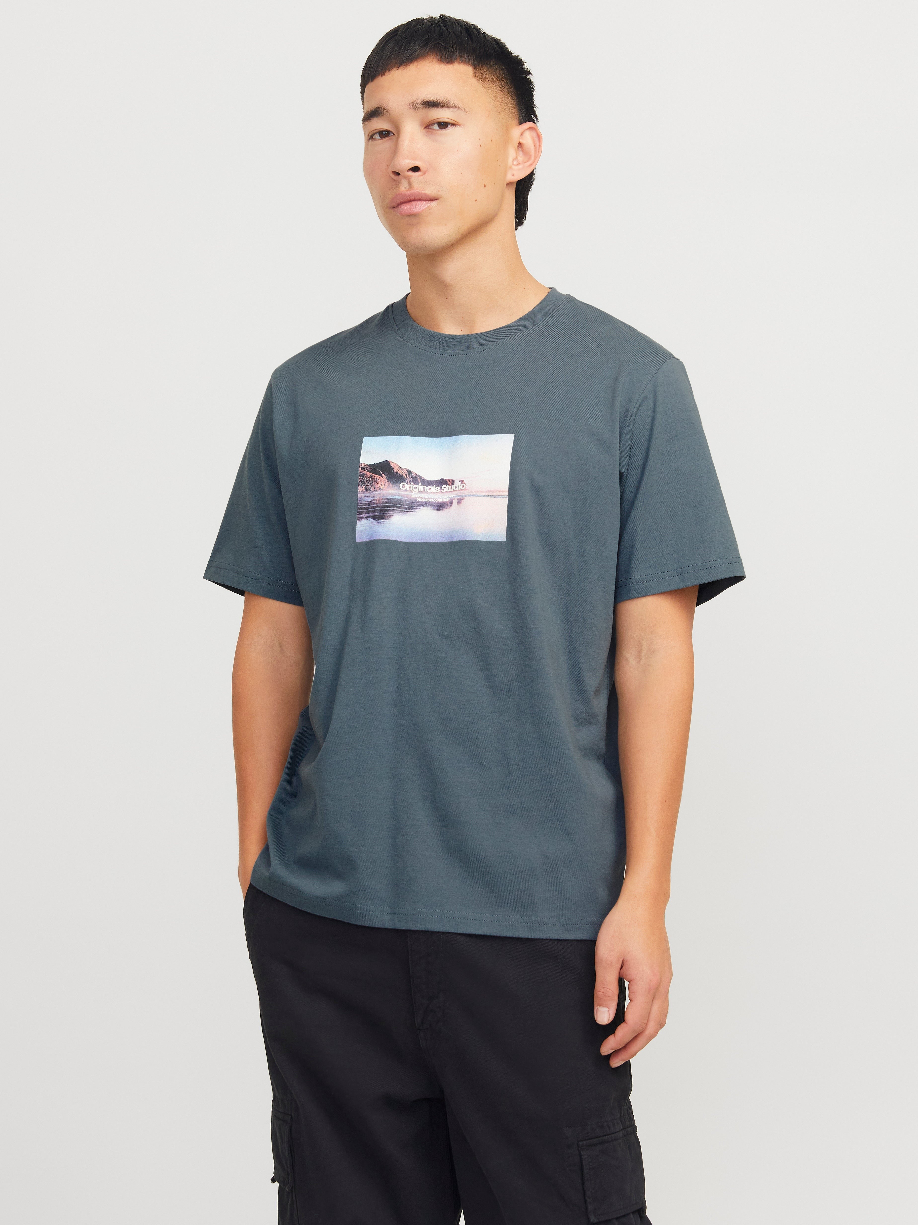 JACK & JONES JORVESTERBRO picture tee crew neck in moonbeam - Image 1
