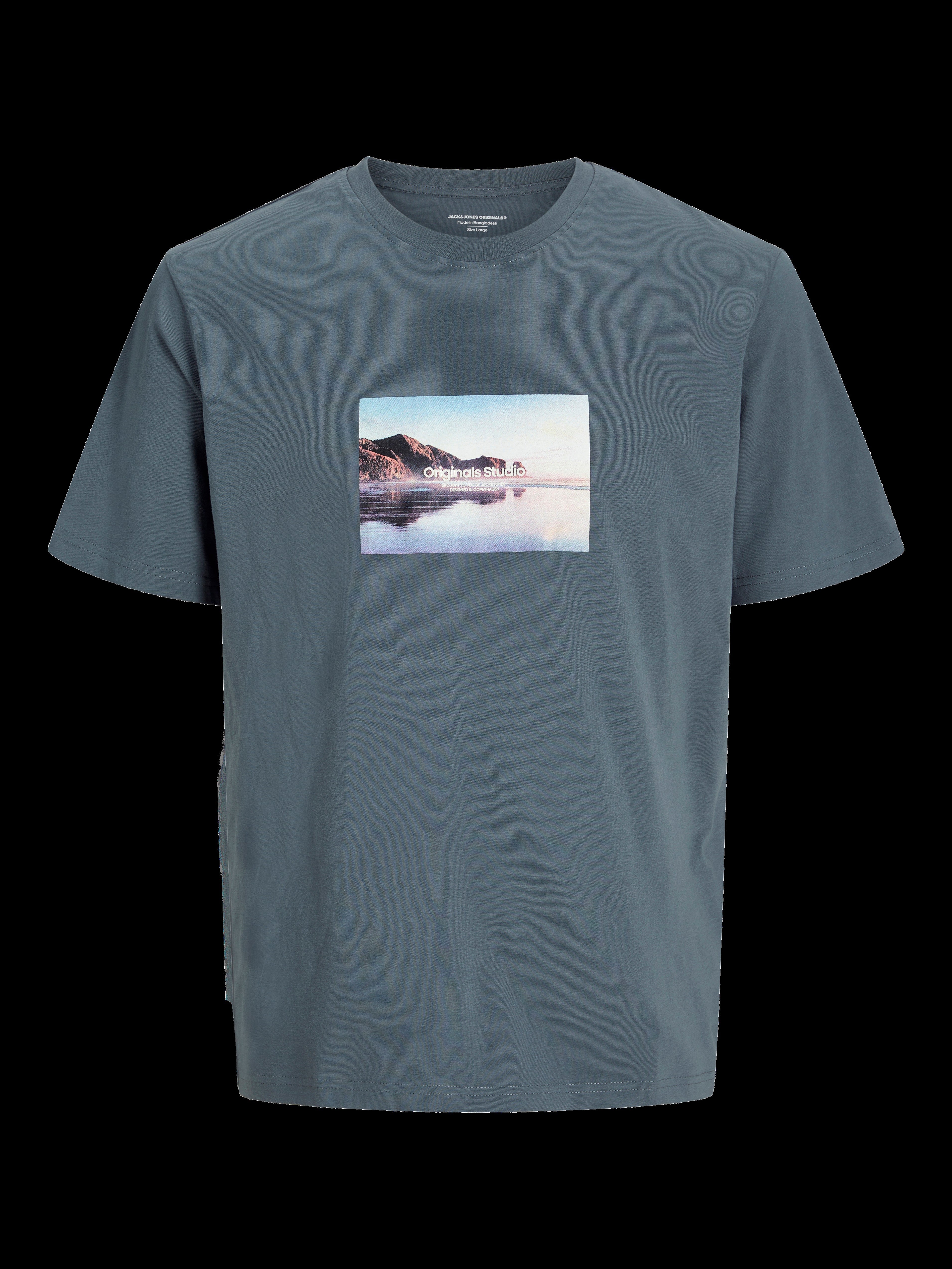 JACK & JONES JORVESTERBRO picture tee crew neck in moonbeam - Image 3