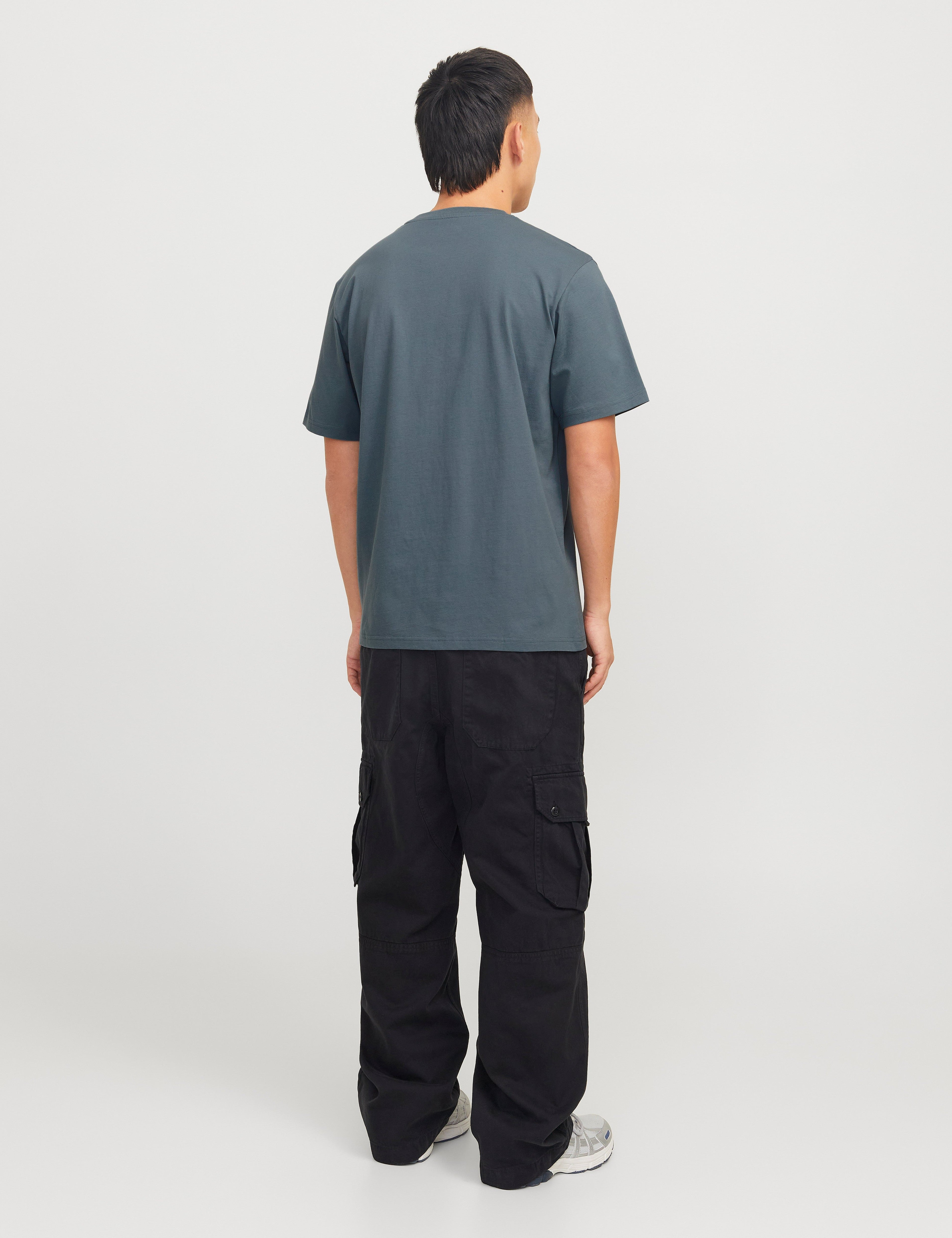 JACK & JONES JORVESTERBRO picture tee crew neck in moonbeam - Image 2