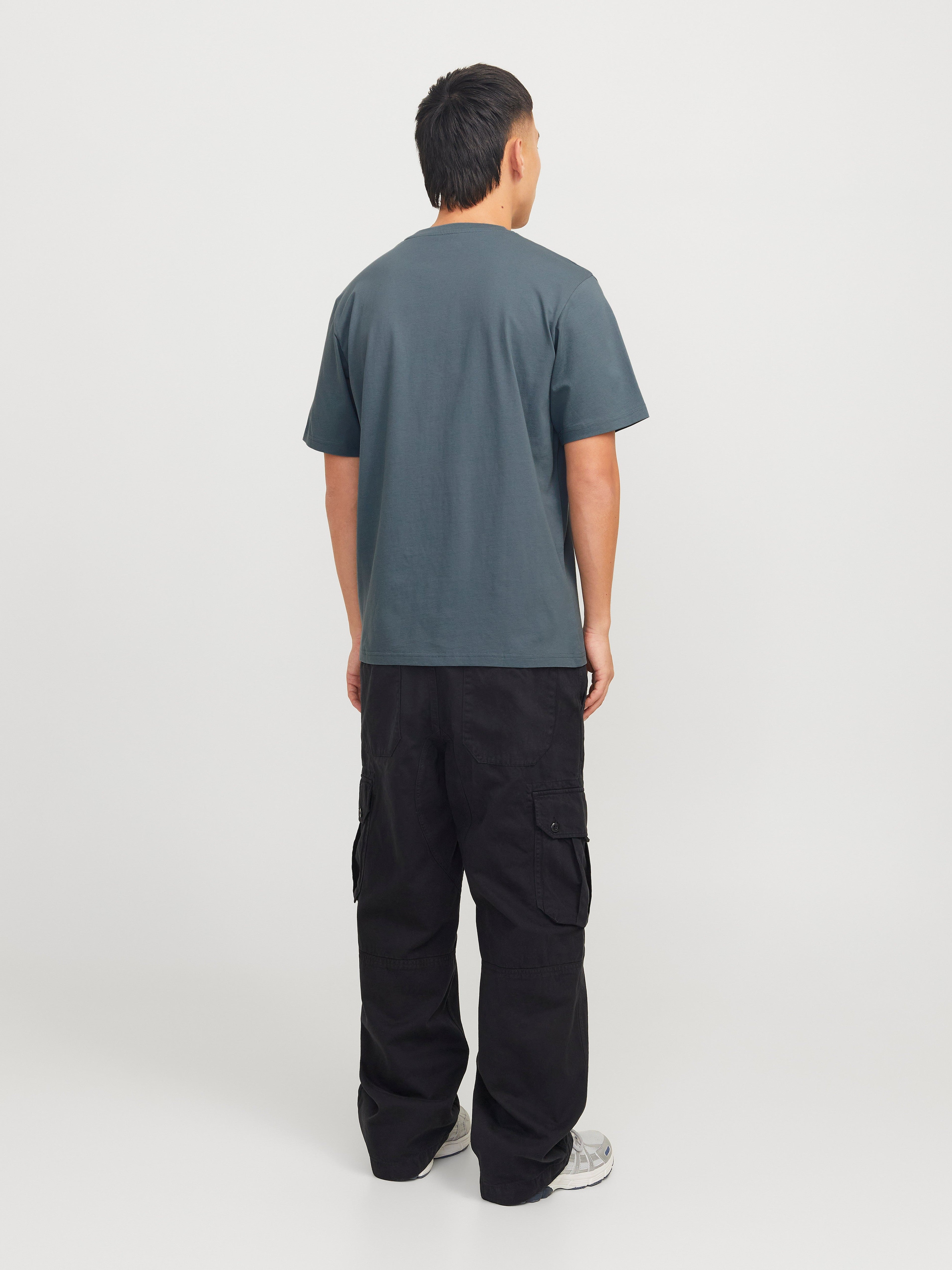JACK & JONES JORVESTERBRO picture tee crew neck in moonbeam - Image 2