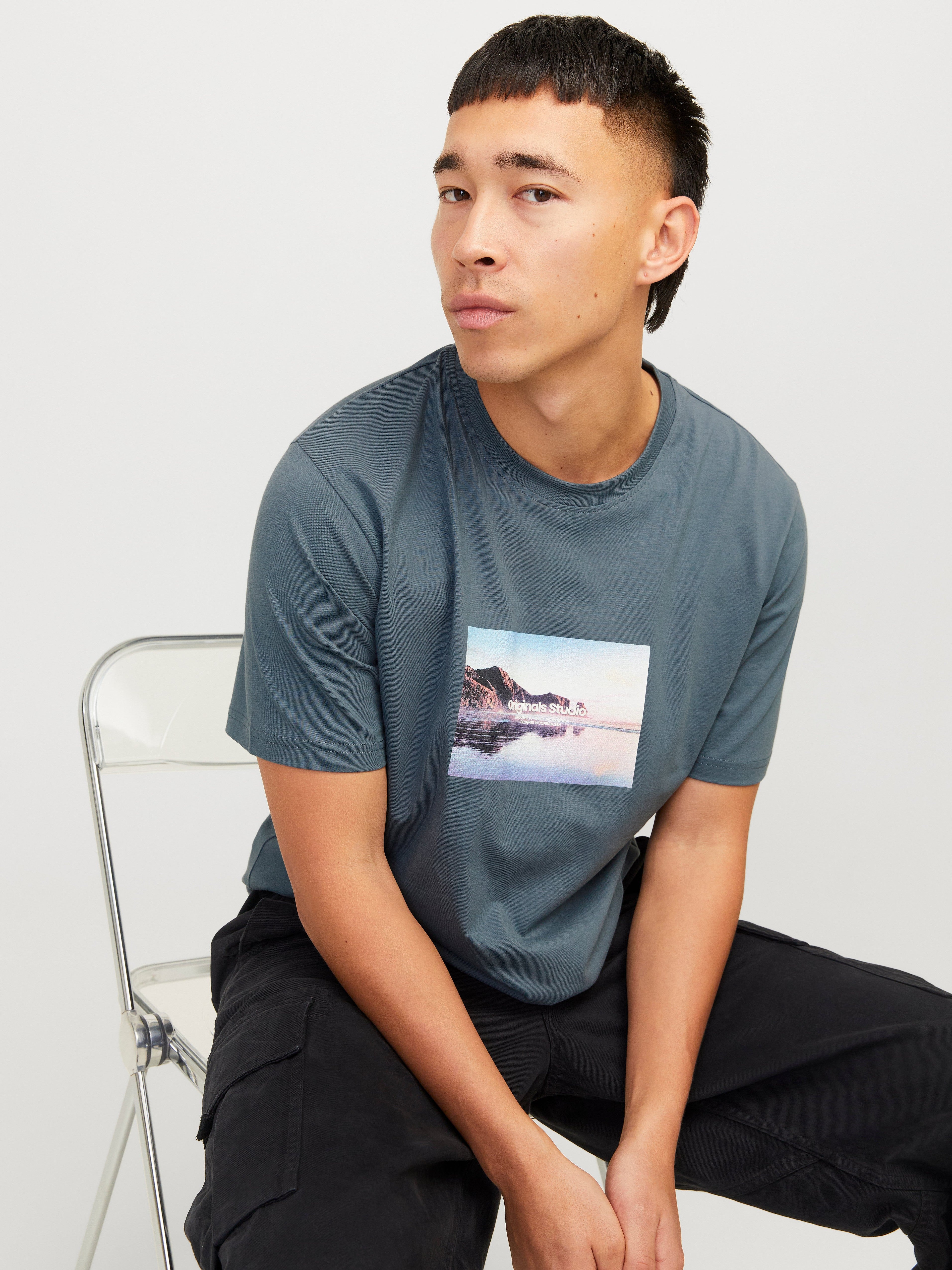JACK & JONES JORVESTERBRO picture tee crew neck in moonbeam - Image 7