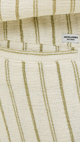 JACK & JONES JPSTJAIDEN coba stripe jog short in cedar - Image 6
