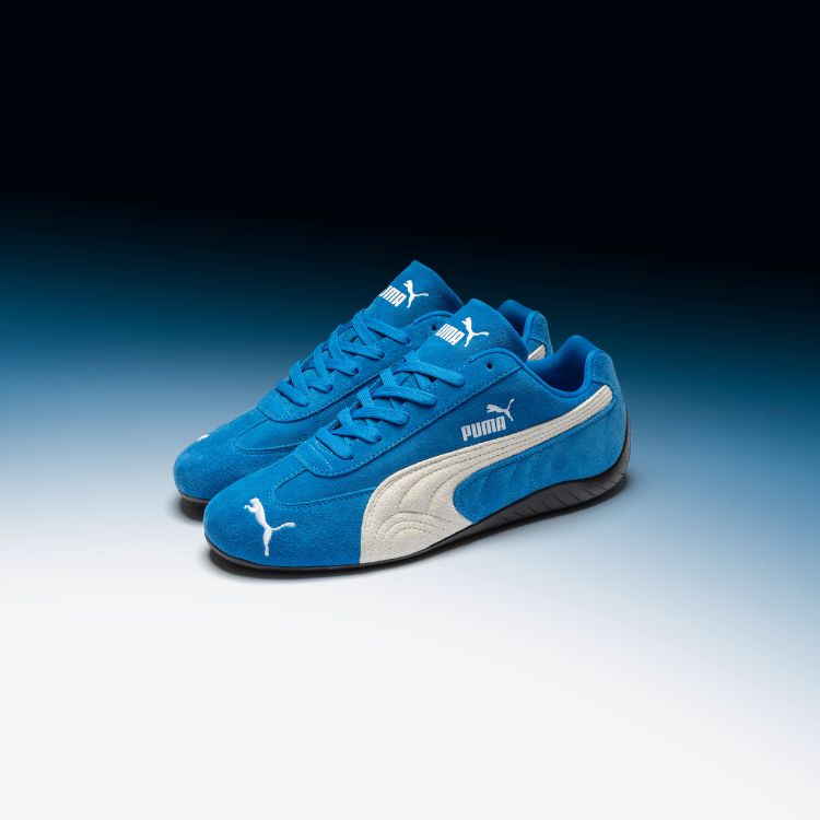 THE SPEEDCATS ARE HERE