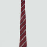 Mango tie lines8 in eggplant